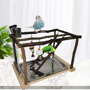 Tfwadmx Parrots Playstand Bird Play Gym Cockatiel Playground Wood Perch Stand Climb Swing Ladders Chewing Toys with Feeding Cups Exercise Activity Center for Conure Cockatiel Lovebirds