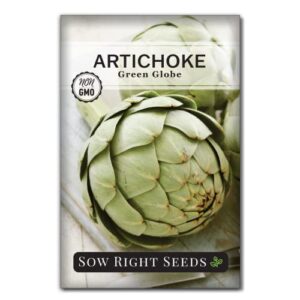 sow right seeds - artichoke green globe seeds for planting - non-gmo heirloom packet with instructions to plant and grow an outdoor home vegetable garden - perennial - wonderful gardening gift