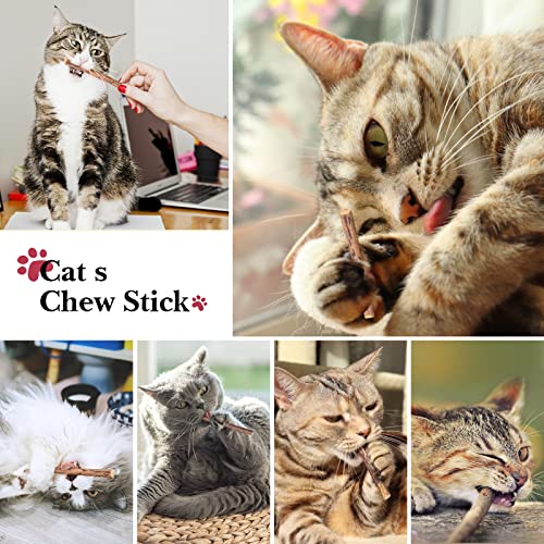 ANJIME 32 PCS Cat Toys Kitten Toys, Variety Catnip Toys with Rainbow Tunnel Interactive Cat Feather Teaser Fluffy Mouse Crinkle Balls Spring Toy Set for Cat, Kitty