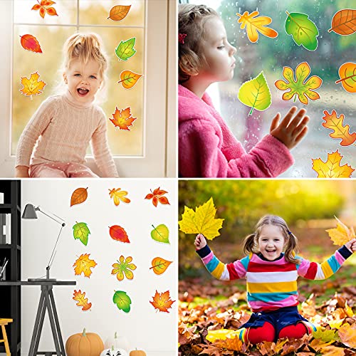 60 Pieces Fall Leaves Accents Cutouts Autumn Thanksgiving Leaf Accents Cutouts Maple Oak Ash Elm Leaf Cutout with Glue Point Dots for Fall Classroom Bulletin Boards Wall Tree Decor (Classic Style)