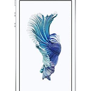 Azumi iPhone SE 16GB Unlocked, Silver 2016 (Gen 1)