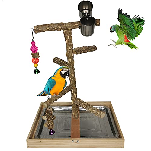 Tfwadmx Bird Perch Natural Wood Stand Toy Parrot Play Stand Platform Bird Cage Branch Perch Accessories for Parakeets Canaries Cockatiels Conure Lovebirds