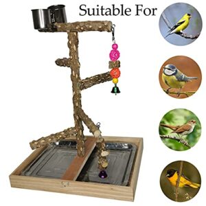 Tfwadmx Bird Perch Natural Wood Stand Toy Parrot Play Stand Platform Bird Cage Branch Perch Accessories for Parakeets Canaries Cockatiels Conure Lovebirds