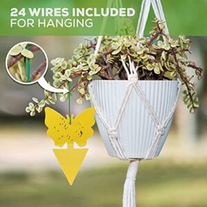 Fruit Fly Gnat Killer Traps Indoor Outdoor for House Plants 32 Pack - Sticky Yellow Catcher Trap - Fruit Fly, Fungus Gnats, Mosquito, Flying Insect Bug Pest, White Flies, Home Kitchen