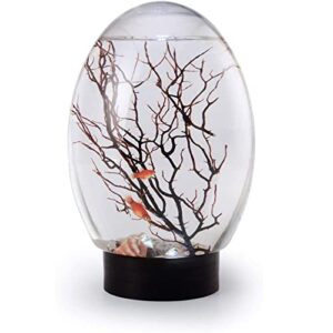 fassturef mini ecological fish tank, closed aquatic ecosphere, with led base desktop fish tank, no need to change water, no need to feed