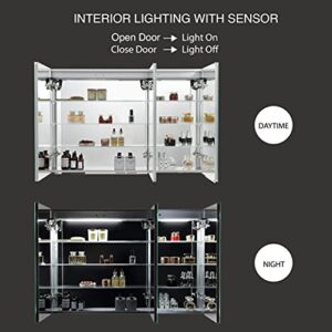 Blossom Recessed or Surface 48 Inch LED Mirror Medicine Cabinet with Lights, Defogger (Vega-48)