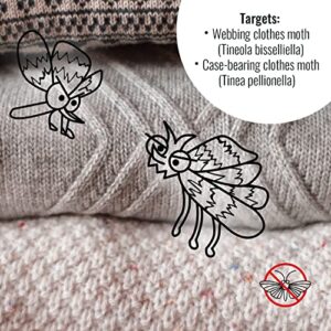 Clothes Moth Trap 8 (6+2 Free Traps) Pack with Pheromones Prime, Clothing Moth Trap with Lure for Clothes Closets, Carpet, Clothes and Prevention