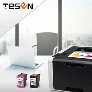 TESEN 65XL Remanufactured 65XL Ink Cartridge Replacement for HP 65XL 65 XL for use in HP Envy 5055 5010 5012 5020 DeskJet 3755 2621 2622 2635 2640 3720 3722 AMP 100 120 125 (2 Pack, 1Black+1Color)