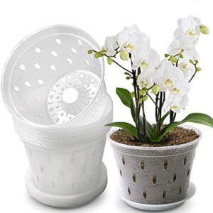 lanccona orchid pot, 7 inch 8 pack orchid pots with holes and saucers, clear plastic plant pot indoor