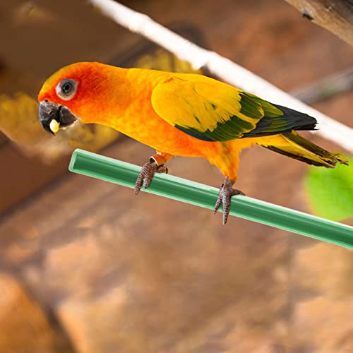 POPETPOP Bird Cage Perch Plastic Parrot Branch Stand Parrot Cage Hanging Toys for Small Conures Macaws Parakeets Parrots Love Birds Finches Green 10PCS