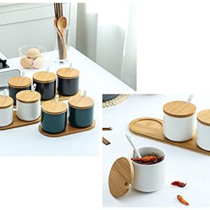 RockTrend Simple Pure Color Ceramic Spice Jar Seasoning Box Condiment Pot Sugar Bowl with Bamboo Lid and Spoon