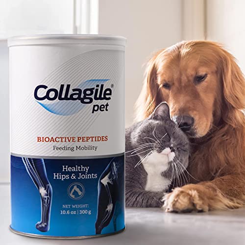 COLLAGILE® pet - Dog Hip & Joint Care | Effective Powder Supplement | Clinically Tested by Vets | 100% Natural | Tasteless and Odorless