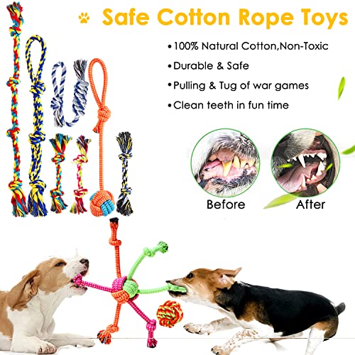 Aipper Dog Puppy Toys 20 Pack, Puppy Chew Toys for Fun and Teeth Cleaning, Plush Squeaky Toys, Dog Treat Dispenser Ball, Tug of War Toys, Puppy Teething Toys, Dog Rope Toys for Medium to Small Dogs