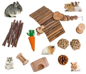 neakomuki hamster toys 11 pack guinea pig toy for teeth care natural wooden hamster chew toys and accessories for syrian dwarf hamster squirrels rats chinchillas parrots gerbils bunnies
