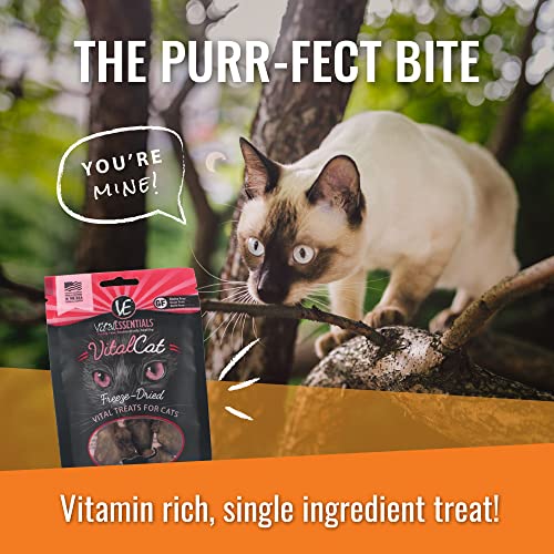 Vital Essentials Freeze Dried Cat Treats, Minnows 0.5 oz