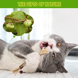 BAWAN Catnip Toys‖ Silvervine for Cats: Cute Cat & Kitten Toys for Indoor Cats Interactive‖ Cat & Kitten Teething Chew Toys for Aggressive Chewers‖ Silvervine Sticks Cat Dental Toy (3PCS)