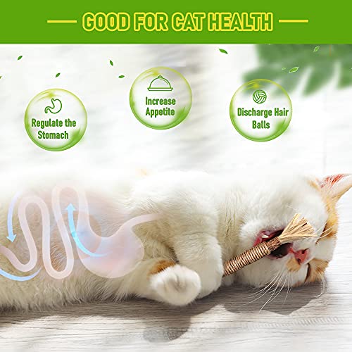 BAWAN Catnip Toys‖ Silvervine for Cats: Cute Cat & Kitten Toys for Indoor Cats Interactive‖ Cat & Kitten Teething Chew Toys for Aggressive Chewers‖ Silvervine Sticks Cat Dental Toy (3PCS)