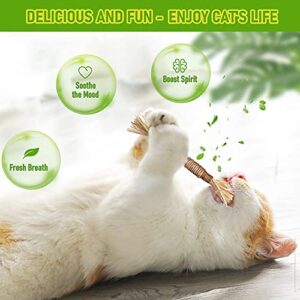 BAWAN Catnip Toys‖ Silvervine for Cats: Cute Cat & Kitten Toys for Indoor Cats Interactive‖ Cat & Kitten Teething Chew Toys for Aggressive Chewers‖ Silvervine Sticks Cat Dental Toy (3PCS)