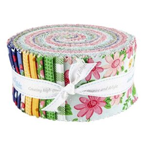 RILEY BLAKE DESIGNS 2.5" PRECUT Bundle Summer PIC, Assorted