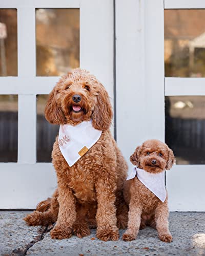 Remy+Roo Dog Bandanas - 4 Pack | Shannon Set | Premium Durable Fabric | Unique Shape | Adjustable Fit | Multiple Sizes Offered (Large)