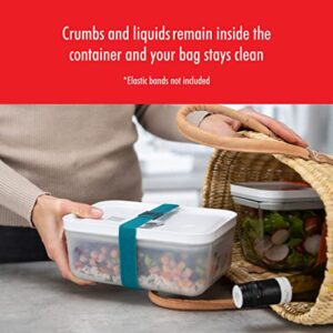 ZWILLING Fresh & Save Flat Lunch Box Large, Airtight Food Storage Container, Meal Prep Container, BPA-Free, Grey