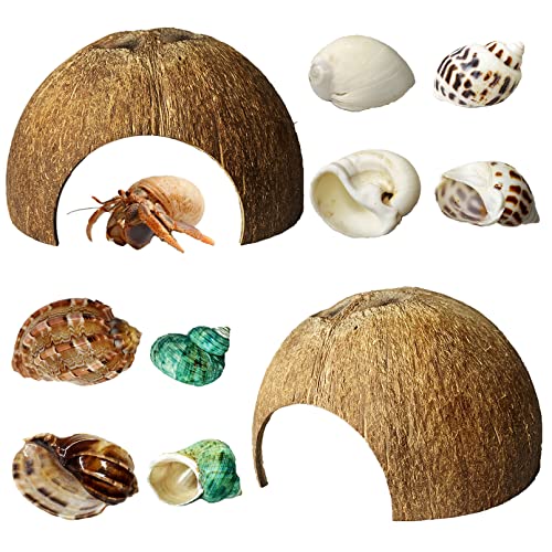 kathson 2 Pcs Natural Coconut Shells Hut, 8 Pcs Hermit Crab Shells Coconut Hide Reptile Hideout Assorted Turbo Growth Shells  for Fish Tank Decoration Reptile Habitat (10Pcs)