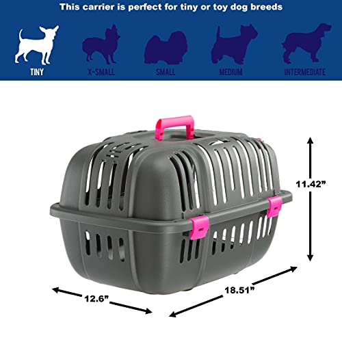 Ferplast Jet Pet Carrier: Value Dog Carrier Suitable for Toy Dog Breeds & Small Cats, Assembled Dimensions: 12.6L x 18.5W x 11.42H inches, Fuchsia