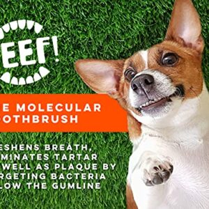 TEEF! Daily Dental Care - Natural Dog Dental Water Additive, 6 Month Supply - Award Winning Protektin42 Formula, Tartar and Plaque Remover - No Brushing, Add to Water Bowl for Healthier Gums