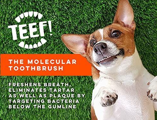 TEEF! Daily Dental Care - Natural Dog Dental Water Additive, 6 Month Supply - Award Winning Protektin42 Formula, Tartar and Plaque Remover - No Brushing, Add to Water Bowl for Healthier Gums