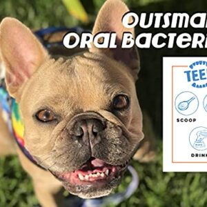 TEEF! Daily Dental Care - Natural Dog Dental Water Additive, 6 Month Supply - Award Winning Protektin42 Formula, Tartar and Plaque Remover - No Brushing, Add to Water Bowl for Healthier Gums