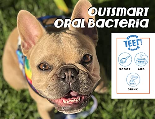 TEEF! Daily Dental Care - Natural Dog Dental Water Additive, 6 Month Supply - Award Winning Protektin42 Formula, Tartar and Plaque Remover - No Brushing, Add to Water Bowl for Healthier Gums