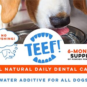 TEEF! Daily Dental Care - Natural Dog Dental Water Additive, 6 Month Supply - Award Winning Protektin42 Formula, Tartar and Plaque Remover - No Brushing, Add to Water Bowl for Healthier Gums