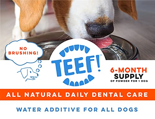 TEEF! Daily Dental Care - Natural Dog Dental Water Additive, 6 Month Supply - Award Winning Protektin42 Formula, Tartar and Plaque Remover - No Brushing, Add to Water Bowl for Healthier Gums