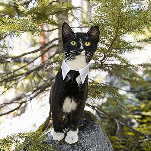 Casidoxi Dog Cat Tuxedo Collar, Cat Wedding Bowtie, Cat Bow Tie Tux Collar Costume Birthday Easter Valentines Dog Bowtie Cat Collar for Dog Cat Puppy