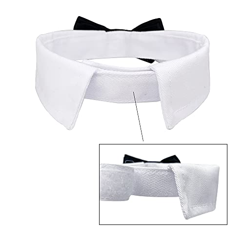 Casidoxi Dog Cat Tuxedo Collar, Cat Wedding Bowtie, Cat Bow Tie Tux Collar Costume Birthday Easter Valentines Dog Bowtie Cat Collar for Dog Cat Puppy