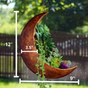 Oakadoaks Hanging Moon Planter for Moon Room Decor Great for Succulents,Air Plant,Mini Cactus,Faux,Artificial Plants-12” Boho Rustic Metal Planters,Gifts for Women,Birthdays,Nursery