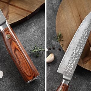 wonhag Damascus Chef Knife Professional VG10 Stainless Steel Cleaver Damascus 8 Inch Chef Knife Brown Handle Gift Box