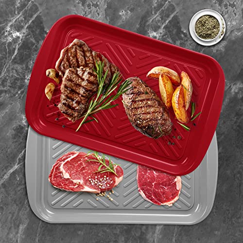 VIDOR Serving Tray with Handles,Grilling Prep Trays and Melamine Serving Platters for Parties,Eating,Outdoors and BBQ,Dishwasher Safe Food Tray,Meat Preparation Trays17 x 11"(Set of 2)