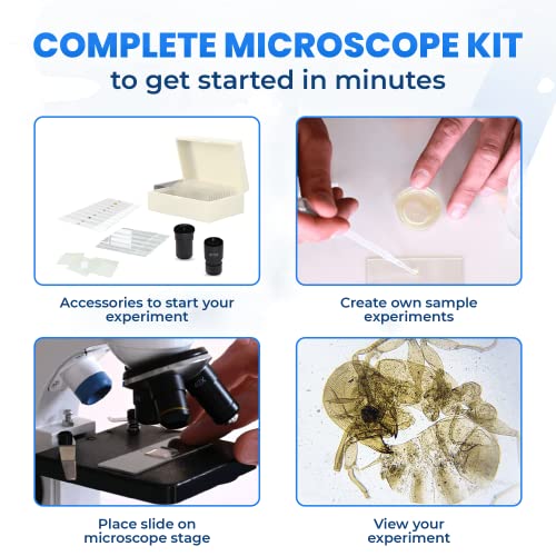 Old Ted 40x - 1000x Microscope for Adults and Students. Complete Microscope Kit Including Specimen Slide Samples, Detailed User Guide & Phone Microscope Adaptor. Ideal for STEM Projects
