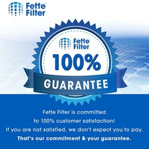 Fette Filter- AER1 Filter D Air Purifier Filters Compatible with Holmes AER1 HAPF300/HAPF30 (D Filter) and Bionaire BAP536/BAP516, Compare to parts HAPF300AH-U4R, HAP242-NUC (Pack of 4)