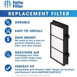 Fette Filter- AER1 Filter D Air Purifier Filters Compatible with Holmes AER1 HAPF300/HAPF30 (D Filter) and Bionaire BAP536/BAP516, Compare to parts HAPF300AH-U4R, HAP242-NUC (Pack of 4)