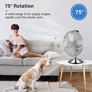 Simple Deluxe 12 Inch Stand Fan, Horizontal Ocillation 75°, 3 Settings Speeds, Low Noise, Quality Made Durable Fan, High Velocity, Heavy Duty Metal For Industrial, Commercial, Residential, Silver