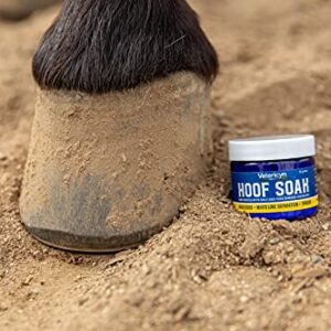 Vetericyn Hoof Soak. for Hooves with Sole and Frog Damage Caused by Abscesses, Whitel Line Separation, and Thrush. 30 Grams