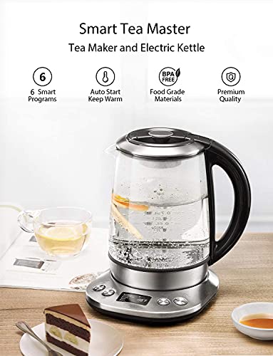 Electric Tea Kettle, 1.7L Variable Temperature Electric Kettle, Fast Boil Glass Water Kettle with 2Hr Keep Warm Function, Premium Stainless Steel, Boil Dry Protection, 1200W