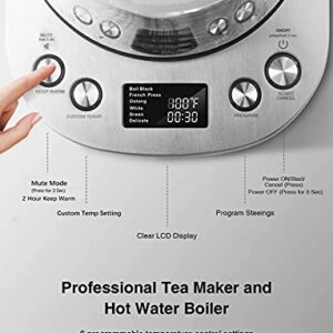 Electric Tea Kettle, 1.7L Variable Temperature Electric Kettle, Fast Boil Glass Water Kettle with 2Hr Keep Warm Function, Premium Stainless Steel, Boil Dry Protection, 1200W