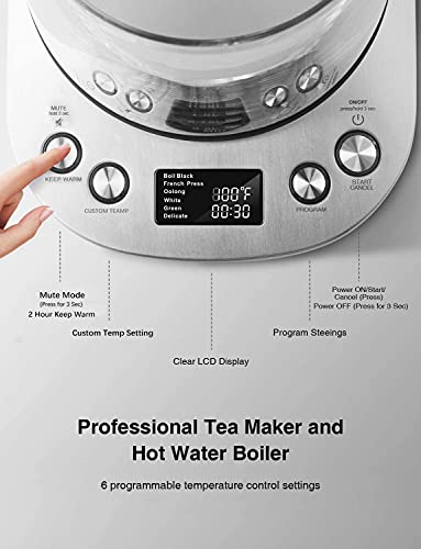 Electric Tea Kettle, 1.7L Variable Temperature Electric Kettle, Fast Boil Glass Water Kettle with 2Hr Keep Warm Function, Premium Stainless Steel, Boil Dry Protection, 1200W