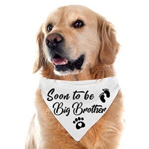 Soon to Be Big Brother Blue Dog Bandanas, Gender Revealing Dog Scarf Photo Prop, Pet Accessories for Dog Lovers, Pet Baby Announcement Scarf Accessories, Pack of 2