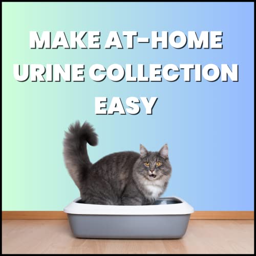 Creative Science Nosorb Non-Absorbent Cat Litter | 6 oz | Easily Collect Urine Samples from Cats