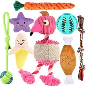 loyee 8 pack puppy toys, squeaky plush dog toys for small dogs, cute puppy teething chew toy, safe ropes toys