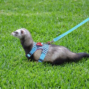 Filhome Small Pet Harness Vest and Leash Set with Bowknot and Bell Decor Chest Strap Harness Adjustable Soft Breathable for Outdoor Walking Guinea Pigs, Ferret, Chinchilla(Blue)